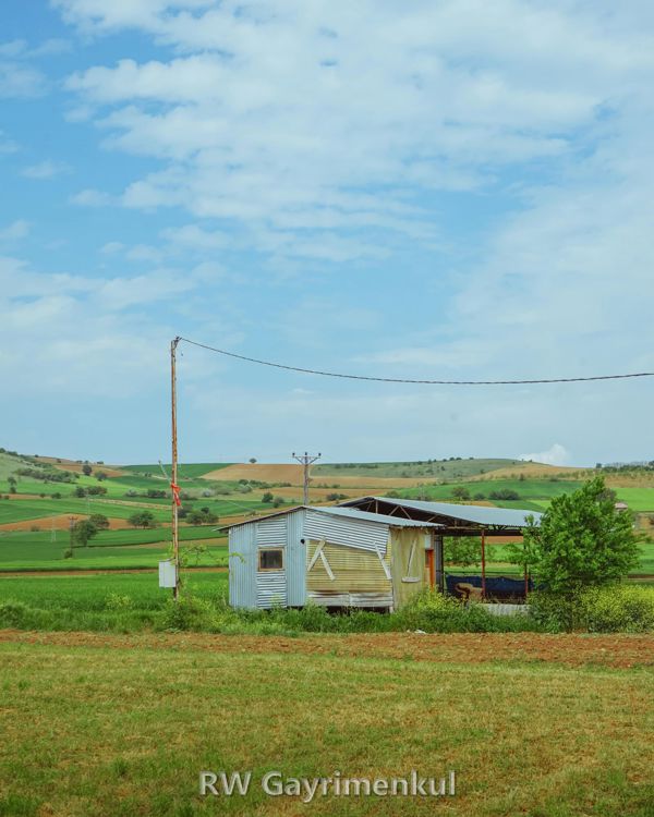 Bolluca'de 2.100 m² Bağ & Bahçe — Yol Kenarında