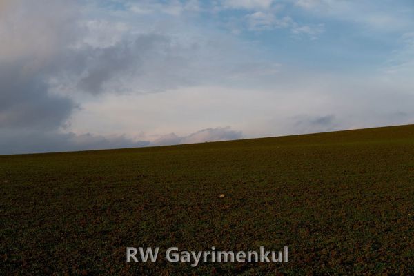 Burgazada Mahallesi'nde Yola Cepheli 480 m² Konut İmarlı Arsa — fotoğraf 3