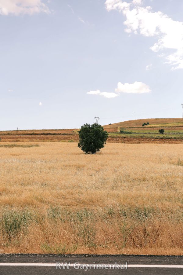 Esatpaşa'de 4.200 m² Tarla — Ana Yola Yakın — fotoğraf 2