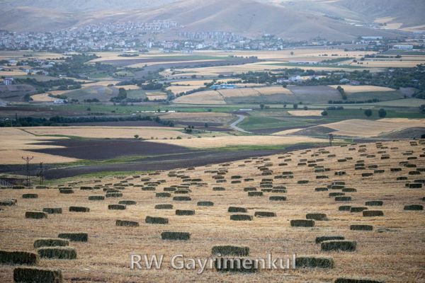Balaban'de 5.600 m² Müstakil Tapulu Tarla — fotoğraf 3