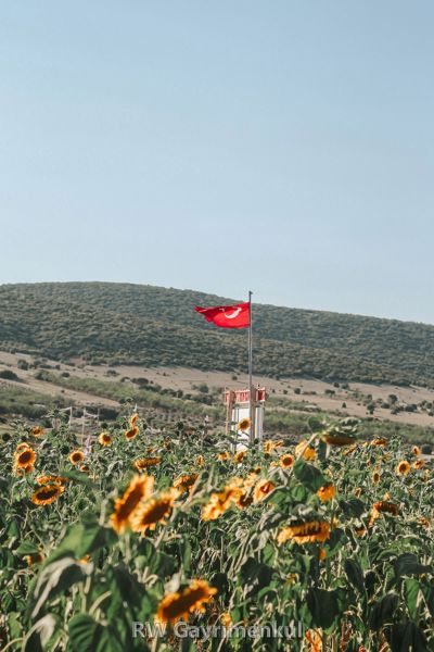 Esatpaşa'de 4.200 m² Tarla — Ana Yola Yakın