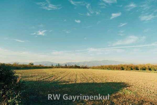 Burgazada Mahallesi'nde Yola Cepheli 480 m² Konut İmarlı Arsa — fotoğraf 2