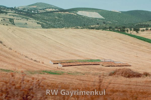Balaban'de 5.600 m² Müstakil Tapulu Tarla — fotoğraf 2