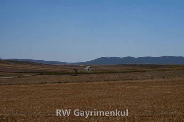 Burgazada Mahallesi'nde Yola Cepheli 480 m² Konut İmarlı Arsa