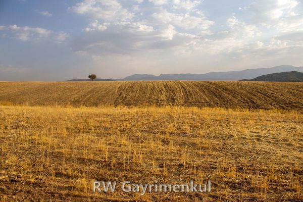 Nizam'de 3.400 m² Yola Cepheli Tarla